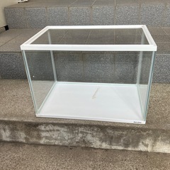水槽