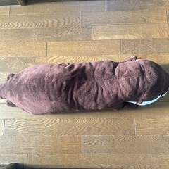 カワウソのぬいぐるみの画像