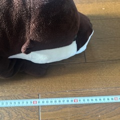 カワウソのぬいぐるみの画像