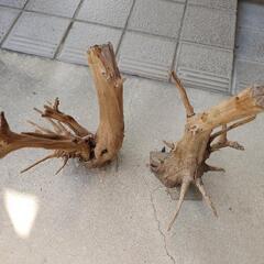 流木　2個セットの画像