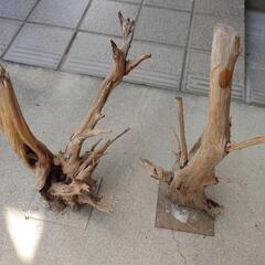 流木　2個セット