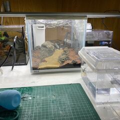 小型水槽3点　現状品
