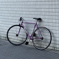 ブリヂストン　　ピスト