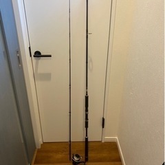 ショアジギング　ロッド　リール