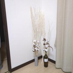 [無料]白い枝(ミツマタ)と綿花(コットンフラワー)