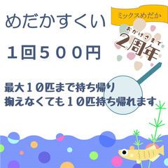 工務店めだか即売会（２周年） - 地域/お祭り
