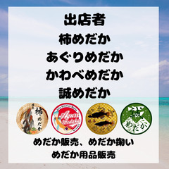 工務店めだか即売会（２周年） - 本巣郡