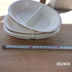 BBQ用のお皿の画像