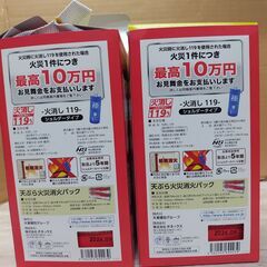 2点セット　美品　未使用品　投げ消すサット119エコ ショルダータイプ 天ぷら火災消火パック付の画像