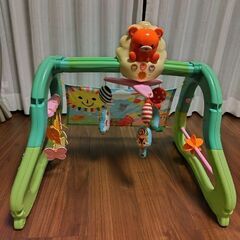うちの赤ちゃん世界一 ベビージム メリー 全身の知育