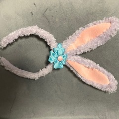 ディズニー　Disney duffy ステラルー　カチューシャ　コインケースの画像