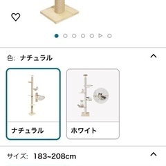 キャットタワーの画像