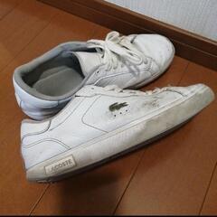 ラコステ LACOSTE スニーカー 革靴の画像