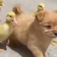 動画編集　勉強仲間募集⭐︎