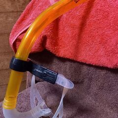 Finis　 水泳練習専用　競泳　水泳部　シュノーケル　スイミン...