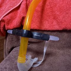 Finis　 水泳練習専用　競泳　水泳部　シュノーケル　スイミングプールの画像