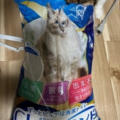 猫砂(クリーンサンド)