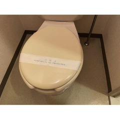 【🦚入居費用10万円🦚】✨審査No.1✨ 🔥東武東上線 若葉 徒歩19分🔥 - 不動産