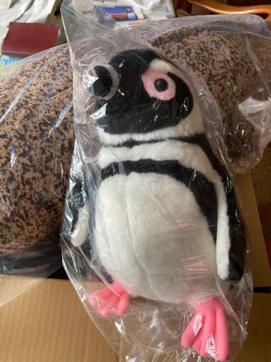 オオサンショウウオとペンギンをセットで