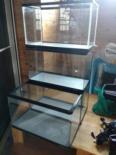 水槽　ニッソ―スティングレー60cm　3本GEX60cm1本