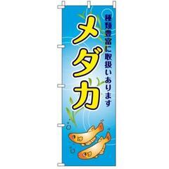 改良めだか　無人販売所　めだか掬い　ワンコインSALEめだか多数...