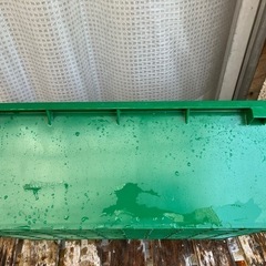 メダカ飼育容器にどうぞ！　リス　
プラ舟40の画像