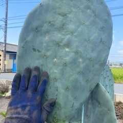 44×29大型宝剣