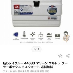 【イグルー】大型クーラーボックス【キャンプ、釣りに】の画像
