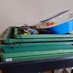 トロ船　メダカ