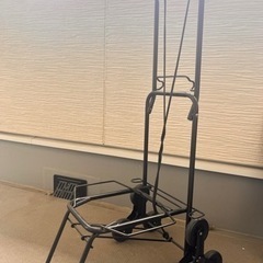 ハンドキャリー