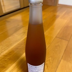 【新品】金鯱　純米吟醸仕込みの梅酒の画像