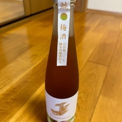 【新品】金鯱　純米吟醸仕込みの梅酒