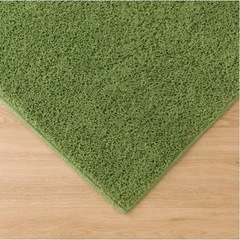 ラグ　ニトリの画像