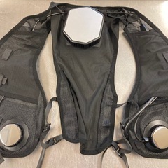 ペルチェベストの画像