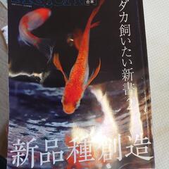 月間アクアライフ