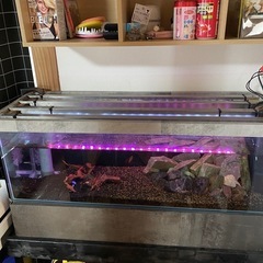 90センチ　水槽
