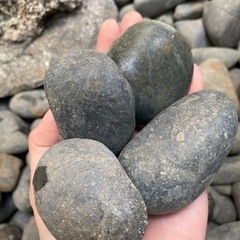 【お取引中】貰ってください　ガーデニング　庭園　丸石　の画像