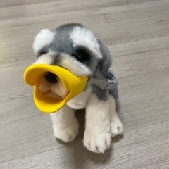 犬の噛みつき防止、拾い食い防止の画像