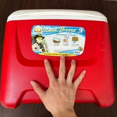 イグルー(Igloo) クーラーボックス 26リットル ISLA...