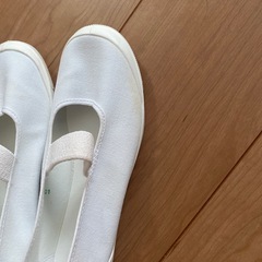 上靴　22.5センチの画像