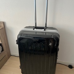 グリフィンランド　スーツケース　の画像