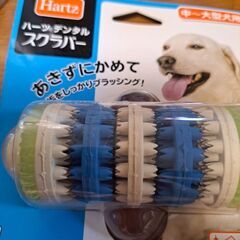 犬　歯磨き　おもちゃ
