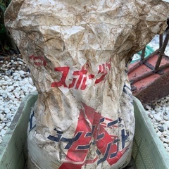 ラインエースソフト（炭酸カルシウム）の画像