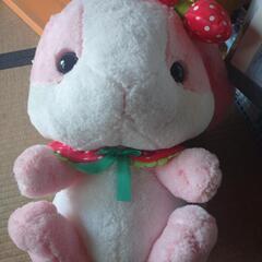 ぬいぐるみ