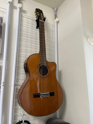 エレガットギター