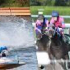 競馬、競艇好き　動画作成仲間募集