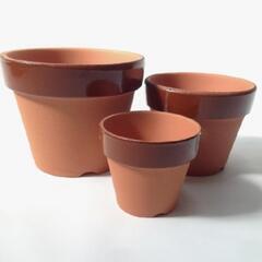 植木鉢たくさんさがしています(*^^*)
