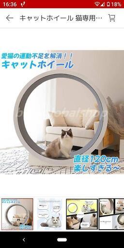 猫 キャットホイール【取引中】
