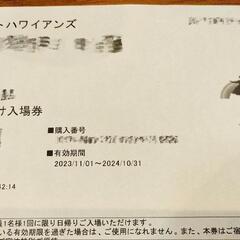 終了）スパリゾートハワイアンズ　入場チケット　4枚の画像