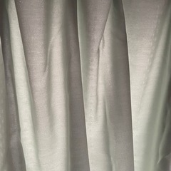【東京インテリア】ライトグリーンカーテンの画像
